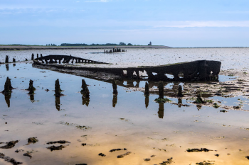 Wierum: Shipwreck