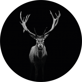 Black&White Deer muurcirkel